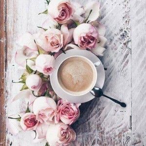 Meet your Posher, Caitlove